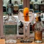 Gin og Tonic med Hayman’s Old Tom Gin