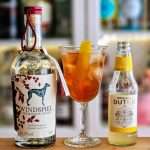 Windspiel Sloe Gin og Double Dutch Double Lemon