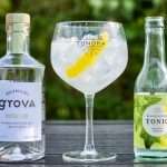 Brennevinsgrova Heyday Gin
