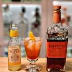 Hayman’s Sloe Gin Double Lemonade