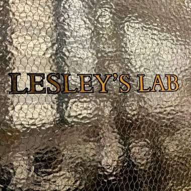 Lesley Graycy's lab