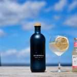 Skagerrak Gin og Pink Grapefruit Soda