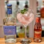 Gin Tonic med Hayman’s London Dry Gin