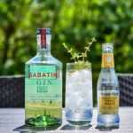 Gin Tonic med Sabatini Gin
