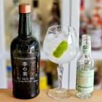 Gin og Tonic med KI NO BE Dry Gin