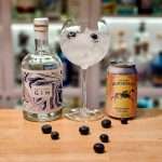Gin Tonic med Arctic Blue Gin