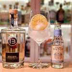 Gin og Tonic med B13 Gin