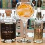 Gin Tonic med Geirr Angr Botanical Gin