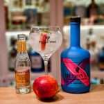 Gin og Tonic med Hedonya London Dry Gin