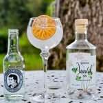 Gin Tonic med Brennevinsgrova Devold Gin