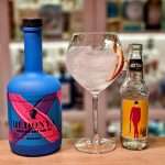 Gin Tonic med Hedonya London Dry Gin