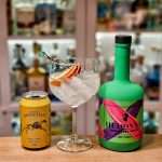 Gin og Tonic med Hedonya Zesty Berry London Dry Gin