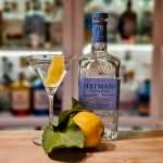 Martini med Hayman’s London Dry Gin