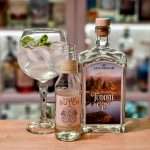 Gin og Tonic med Atlungstad Tuddal Gin