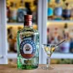 Gibson med Plymouth Gin