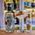 Gin og Tonic med Amarula African Gin