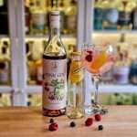 Gin og Tonic med OHD Pink Gin
