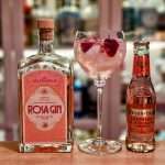 Bringebær G&T med Atlungstad Rosa Gin