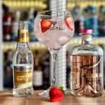 Gin og Tonic med Juniperus Distillatus Lux Aestiva Summer Gin