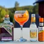 Best Serve med Elephant Sloe Gin
