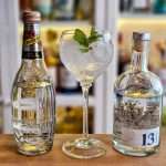 Gin og Tonic med 13 Le Gin 2022