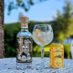 Gin og Tonic med Berentsens KI-Gin Elixir