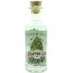 Berentsens Juletre Gin