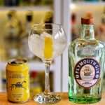 Gin og Tonic med Plymouth Navy Strength Gin