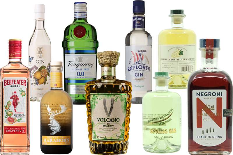 Nye gin på Vinmonopolet 5 mars 2025
