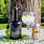 Gin og Tonic med Hedonya London Dry Gin Umami