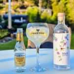 Gin og Tonic med Meir Voyage Juicy Gin