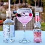 Rosa Gin og Tonic med Nordic River Blackberry Gin