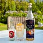 Oslo Håndverksdestilleri Tropical Gin med ingefærøl