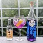 Gin og Tonic med Vålerenga Gin