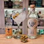 Gin og Tonic med Luz Gin Classic