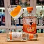 Gin og Tonic med Etsu Double Orange Gin