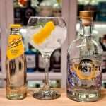 Gin og Tonic med Koster Ekologisk Gin Blue Lobster