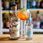 Gin og Tonic med Windspiel Premium Sloe Gin