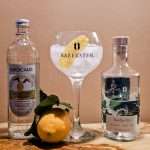 Gin og Tonic med Bareksten Nordlys Gin. Gin-oppskrifter med Amalfi-sitron