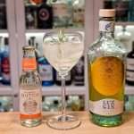 Gin og Tonic med Luz Gin Lemon