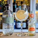 Appelsin-GT med Atlungstad Flora Norvegica Gin