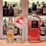 Gin og Tonic med Gintleman Gin Strawberry