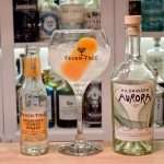 Gin og Tonic med Hildringen Aurora Gin