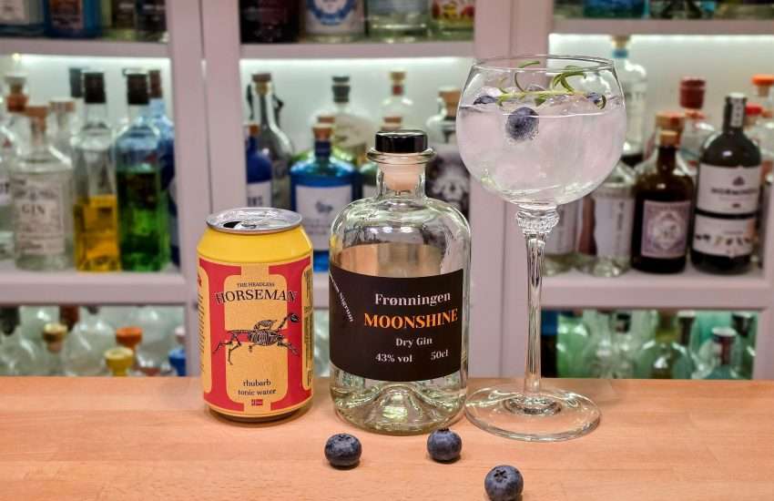 Gin Tonic med Frønningen Moonshine Dry Gin