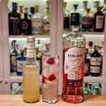 Sysland Trophy Strawberry Gin med Galvanina Limonata