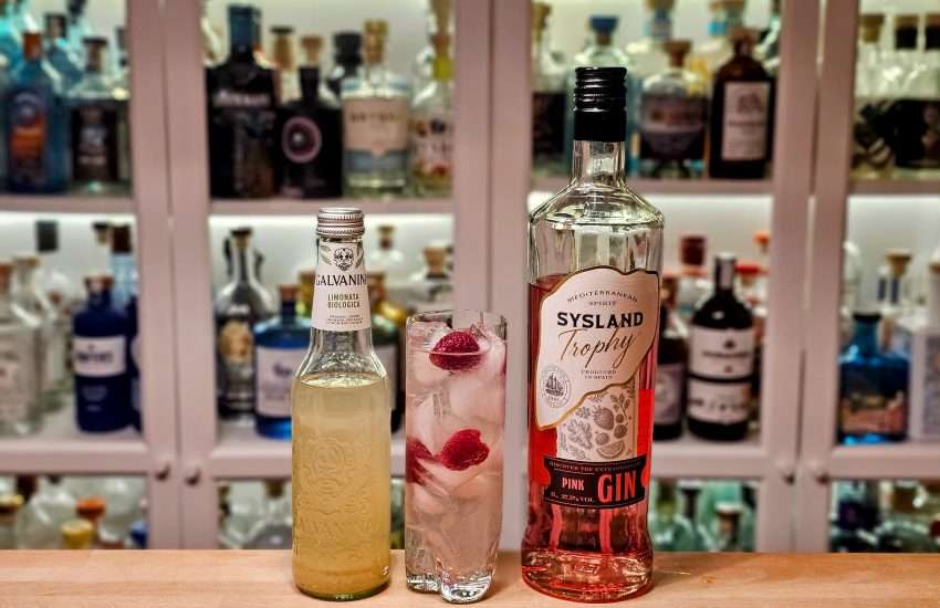 Sysland Trophy Strawberry Gin med Galvanina Limonata