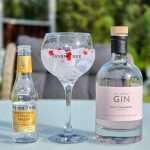 Gin og Tonic med All About Wild Strawberry Gin