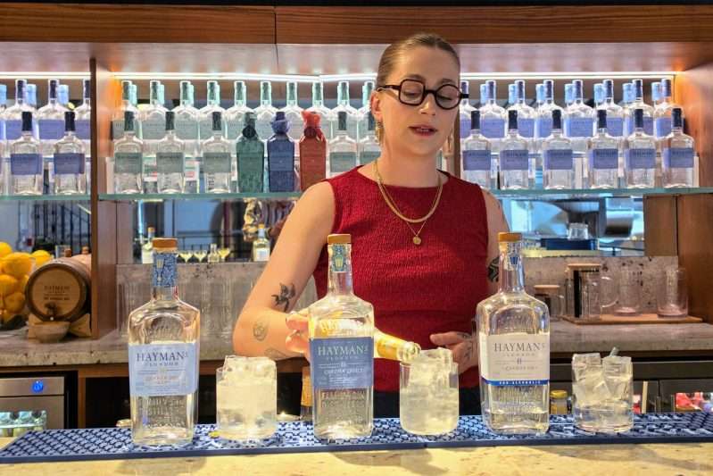 Gin og Tonic med Hayman's Gin