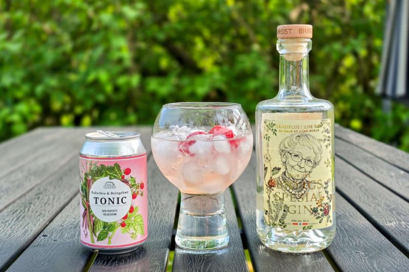Bringebær-GT med Bivrost Bjørgs Spesial Gin Jubileum