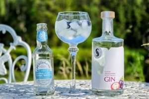 Gin Tonic med Silver Distillery Queen Mangosteen Gin. Oppskrifter med vårens nye gin - 2026 edition.
